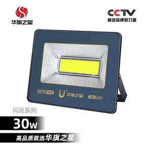 Shinning Series 30W LED Floodlight