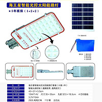 Neptune Intelligent Light Controlled Solar Street lamp