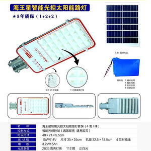 Neptune Intelligent Light Controlled Solar Street lamp