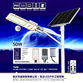 Neptune LED Solar Street lamp