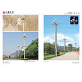 Yulan lamps series outdoor street lamps