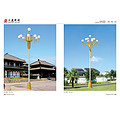 Zhonghua Light Series outdoor street lamps