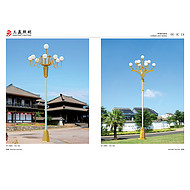 Zhonghua Light Series outdoor street lamps