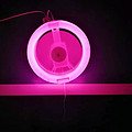 LED pink light fan lamp