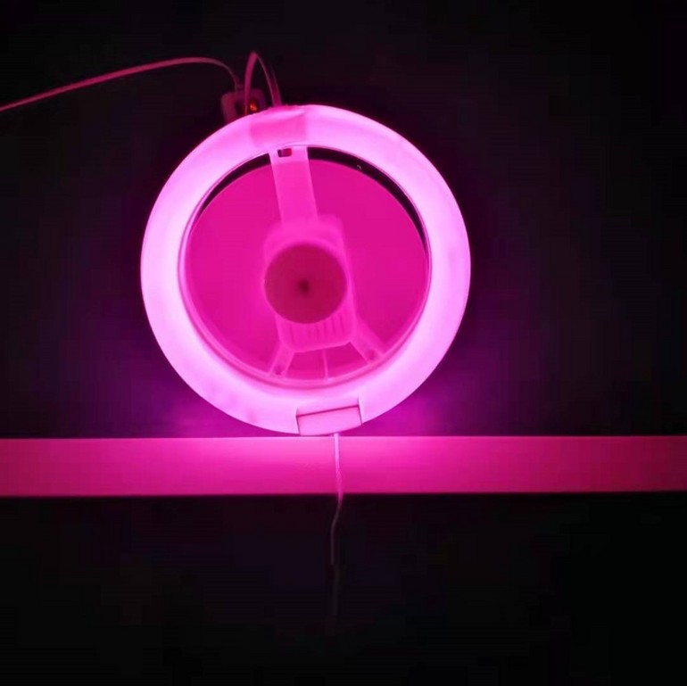 LED pink light fan lamp