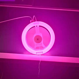 LED powder light fan lamp