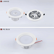 Voice Controlled Radar Sensor Light