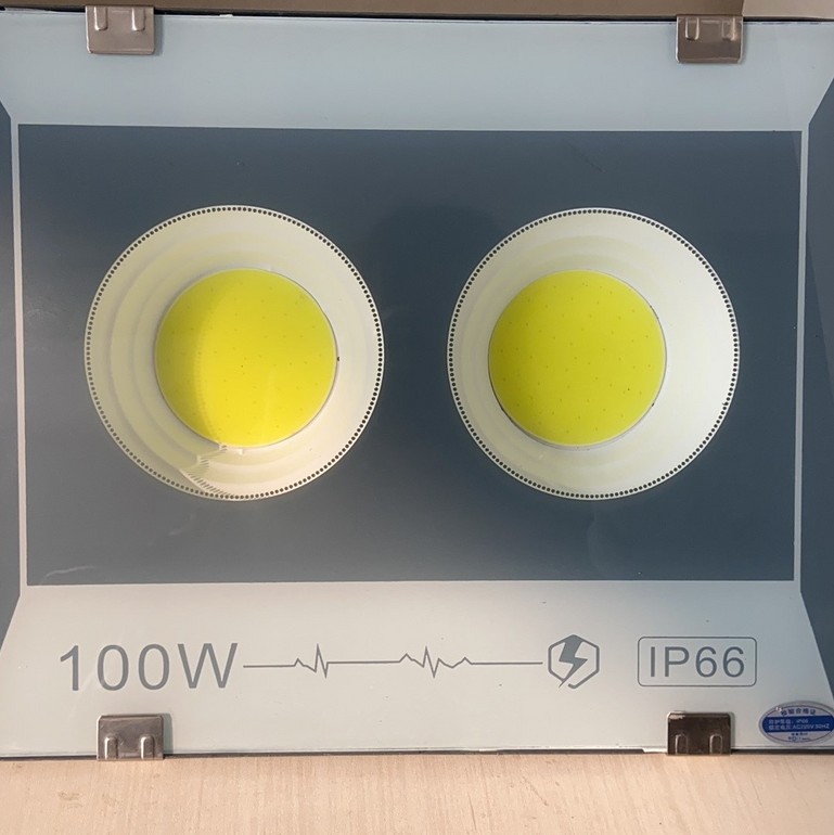 IP66 100W projection lamp