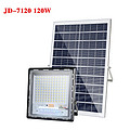 Solar Series Floodlight