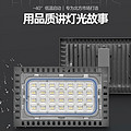 Low Temperature Decoration Floodlight