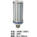 30W Filament Lamp