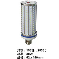 30W Filament Lamp