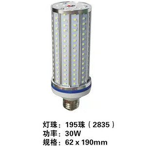 30W Filament Lamp