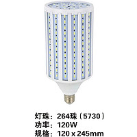 120W Filament Lamp