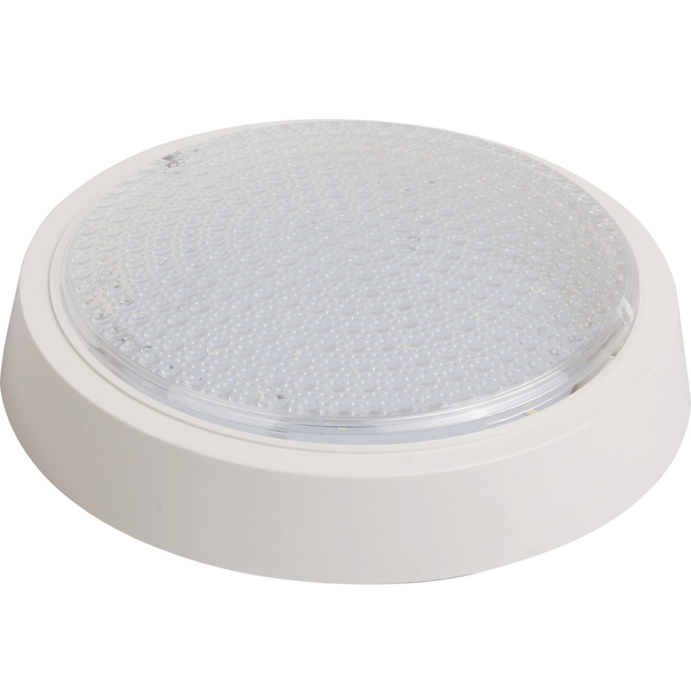 Round LED Module Ceiling Lamp