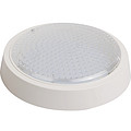 Round LED Module Ceiling Lamp