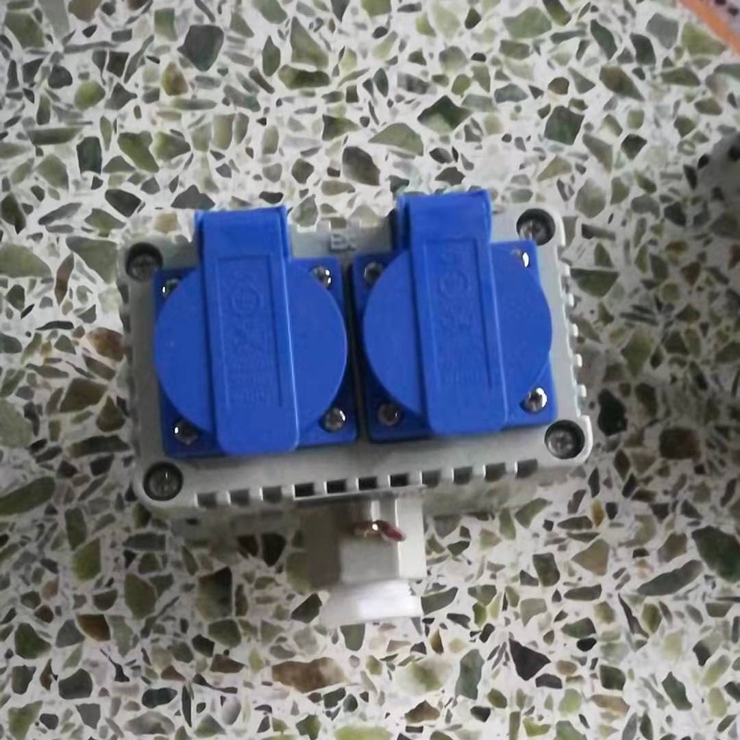 Explosion-proof switch socket