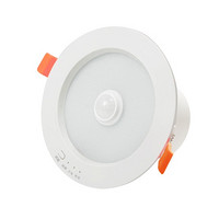 Emergency downlight