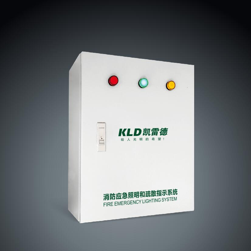 Fire emergency lighting and evacuation indication system