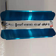 Super Bright Site LED Lodine Tungsten Lamp