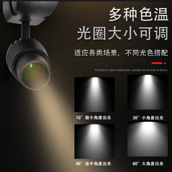 Varied Color Temperature Light Color Track Light