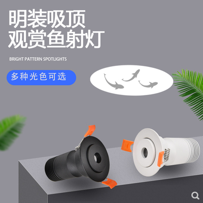 Surface Dressing Ceiling Lamp Fish For Display Spot Light