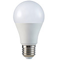 A60 Yellow And White Light 6W Light Bulb