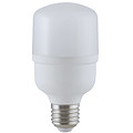 T60 White Light 10W Light Bulb