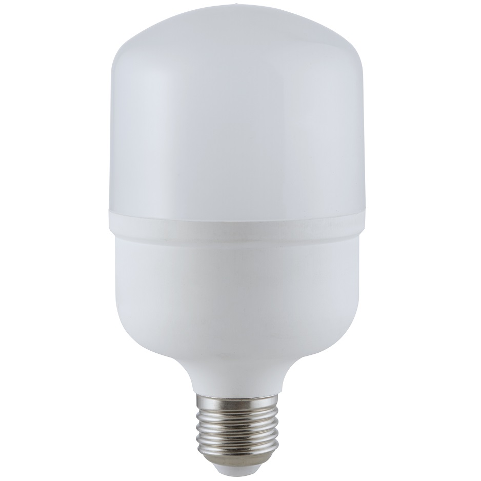 T70 White Light 14W Light Bulb