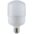 T80 White Light 18W Light Bulb