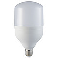 T100 White Light 25W Light Bulb