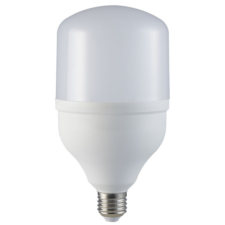 T100 White Light 25W Light Bulb