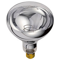 Silvery Bathroom Heat Light Bulb