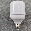 Screwcap household LED white bulb lamp