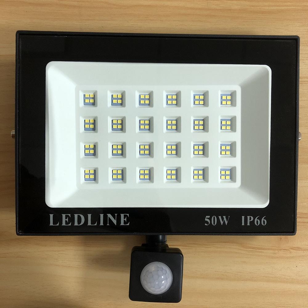 IP66 Floodlight 50W