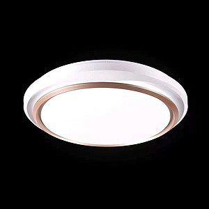 Simple ultra-thin living room LED bedroom ceiling light