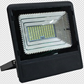 Luminous Solar Floodlight