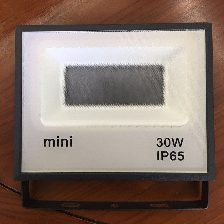 Mini Series IP65 Floodlight