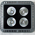 Gold Diamond Series Hollow Out Floodlight