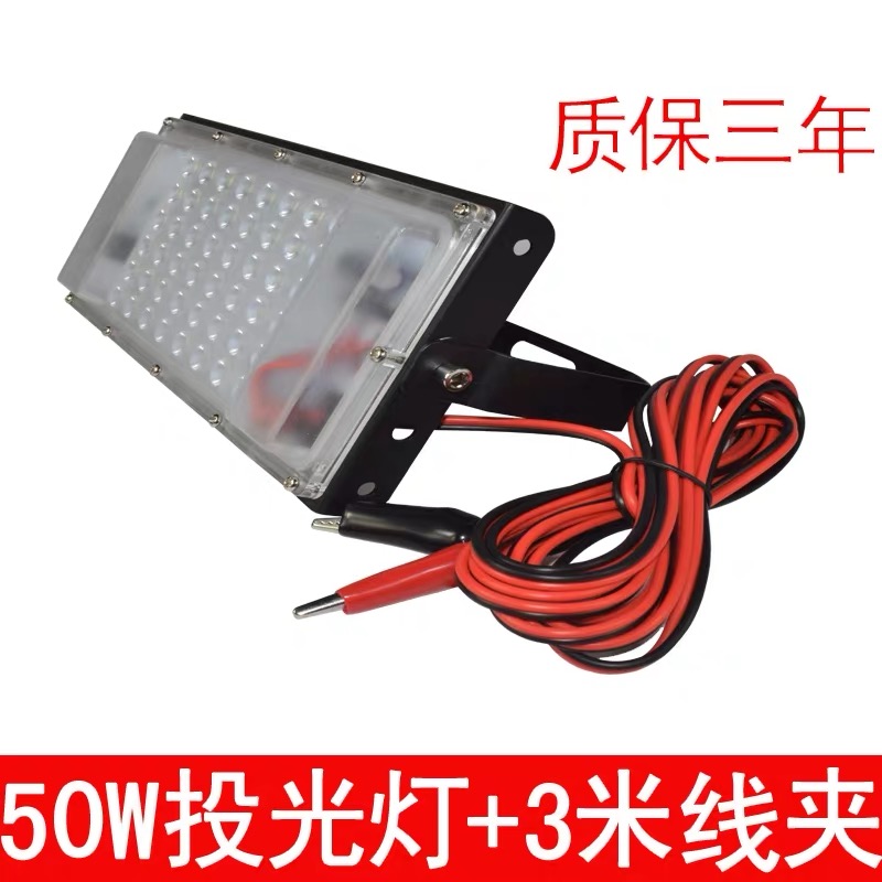 Black 30W Floodlight