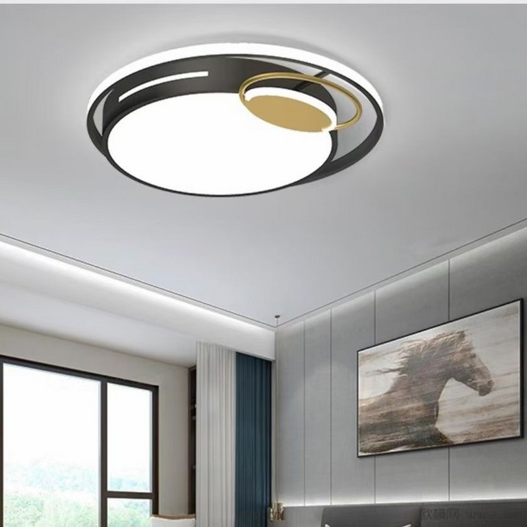 Creative round living room lamp individual lamps and lanterns Modern and simple living room Led ceiling lamp