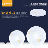 Acrylic Pattern Ceiling Lamp