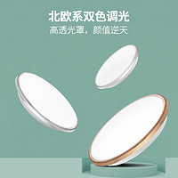 Nordic Two Tone Light Ceiling Lamp