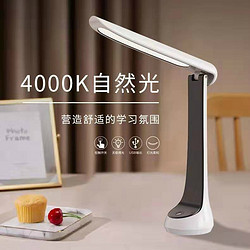 Study Natural Light Table Lamp