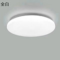 Simple White Home Ceiling Lamp