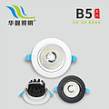 B5 Series COB Down Light