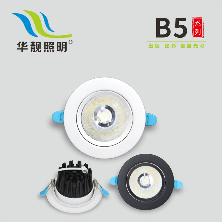 B5 Series COB Down Light