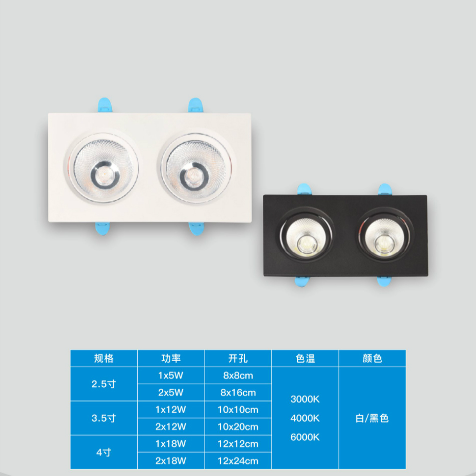 Single Double Head Square COB Down Light