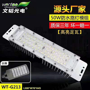 50W waterproof street lamp highlighting LED module