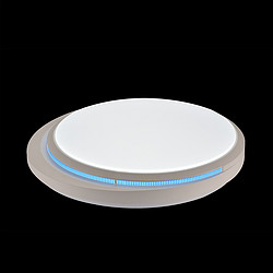 Indoor household bedroom living room energy-saving LED bright blue ceiling light